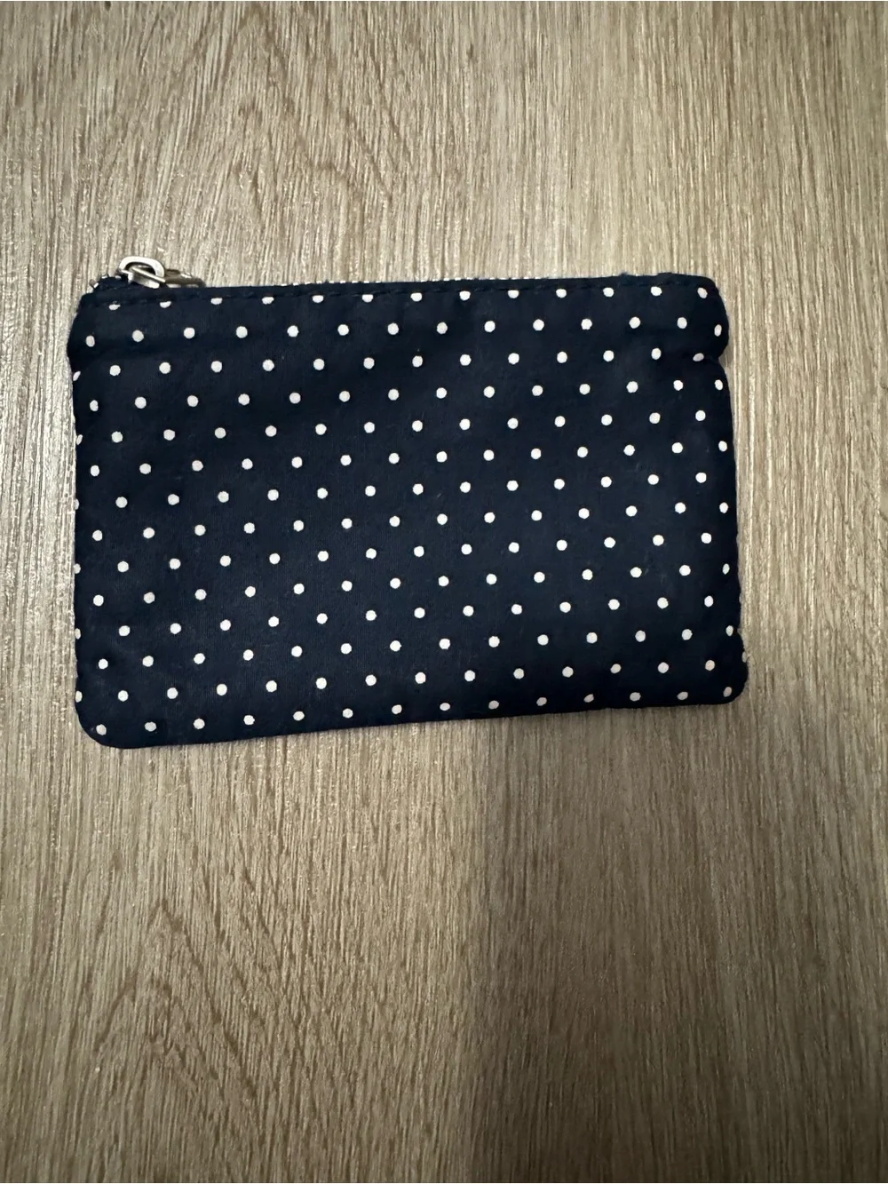 Brandy Melville Makeup Bag and Matching polka dot wallet
